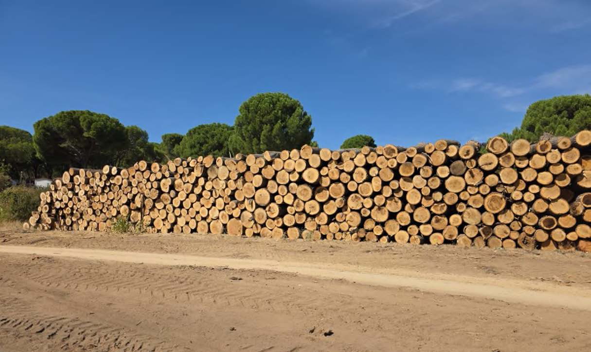 Villanueva de Perales - después